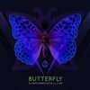 Butterfly (Feat. J-Oh) - DJ Rockmaster B&JOH