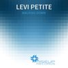 Walking Down (Original Mix) - Levi Petite