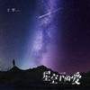 星空下的爱 - 王野