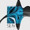 Suw (feat. Carvillo) - Citi3en&Carvillo