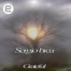 Grateful (Original Mix) - Sergio Brea