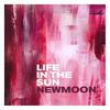 Life in the Sun - 赵颍欣