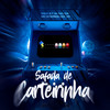 Safada de Carteirinha (Explicit) - DJ Wesley Gonzaga&Mc Rodrigo do CN