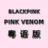 PINK VENOM (cover: Mk 12-D) - 花音