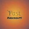 Past Knockouts - Leor Tini