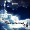 The Meaning (Original Mix) - Envine