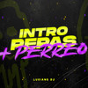 Intro Pepas + Perreo RKT - Luciano DJ