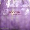 Colors Of Bish (Original Mix) - Booolik