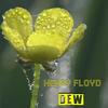 Dew - Henry Floyd