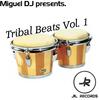 Work (Original Mix) - Miguel Dj