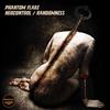 Neocontrol (Original Mix) - Phantom Flake