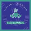 Don't You (Forget About Me) (Extended Version) - Simple Minds