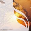 Phoenix (Original Mix) - Matt Bukovski