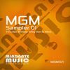 Tiger (Original Mix) - Airdeep
