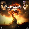 Tornado (Remix) - Ricardo Drue&ding dong