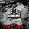 True Grit (feat. Shamu the Panda, Samroc & T.J. Freeq|Explicit) - Xilla Gore-Rel-A&Shamu The Panda&Samroc&T.J. Freeq