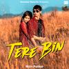 Tere Bin - Nitin Patkar
