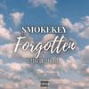 Forgotten (feat. SmokeKey) (Explicit) - SwiinkBEATS.Ltd&SmokeKey