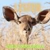 Listen - Greenmamba