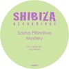 Mystery - Sasha Primitive