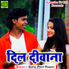 Dil Deewana - Gopal&Prity Pandey
