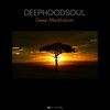 In the Light - Deephoodsoul