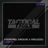 I Like It - Sentinel Groove&Galluzzo