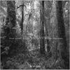 I Don't Need Anybody (Revolver Voltex Remix) - Rex