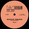 Shine (feat. Diviniti) (Mood II Swing Dub) - Shuya Okino&Diviniti