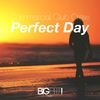 Perfect Day (ChuDazz Edit) - Commercial Club Crew