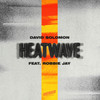 Heatwave(feat. Robbie Jay) - David Solomon&Robbie Jay