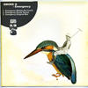 Emergency (Arude Remix) - Smoke G&Arude