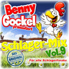 Ich will dich wieder (Danny Top 2in1-Mix) - Sandy Christen&Fresi Fresdorf
