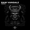 Black Threshold (Original Mix) - Raw Vandalz