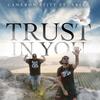 Trust In You(feat. Arize) - Cameron Stitt&Arize