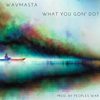 WHAT YOU GON' DO? (Explicit) - WAV.MASTA