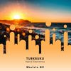 Turkbuku (Hybrid Electronica) (Original Mix) - Shelvin NX