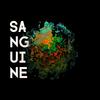 Fragments - Sanguine&Jacob Rochfort