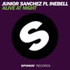 Alive At Night (Instrumental Mix) - Junior Sanchez&Ineabell
