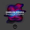 Super Mind - Camblom Subaria