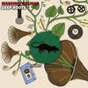 Deep Roots (Original Mix) - Massimo Solinas