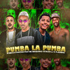 Pumba La Pumba(feat. Mc Magrinho, Flavinho & MC Vitin do LJ)(Brega Funk) (Explicit) - Romulo Chavoso