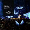 All These Butterflies - 4Joann