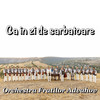 Olareasca - Orchestra Fraților Advahov