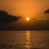 Endless Summer - Christian Fennesz