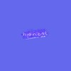 Honest - Elizsabeth