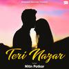 Teri Nazar - Nitin Patkar