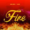 FIRE (feat. CELSIUS) - D-Medz&Celsius