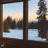 forest - tezpu