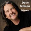 Love Is - Dave Gibson